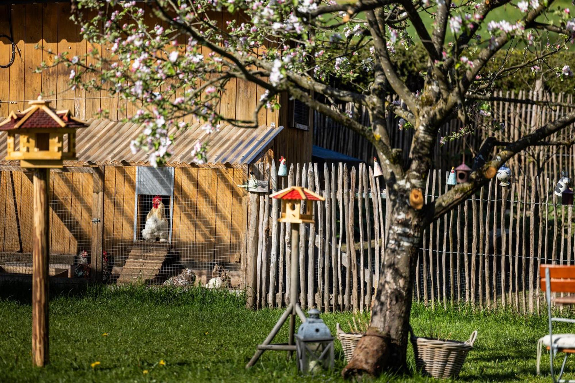 Wassererlehen Bischofswiesen Extérieur photo