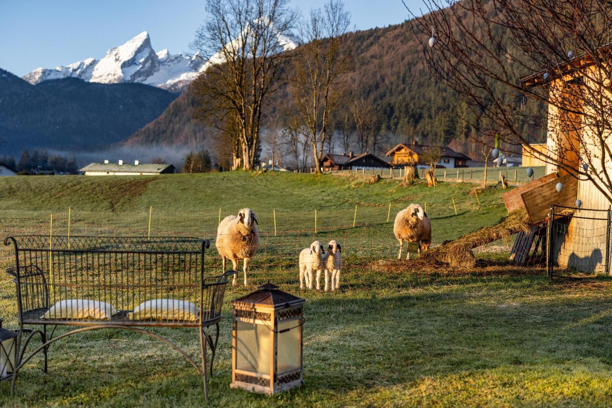 Wassererlehen Bischofswiesen Extérieur photo